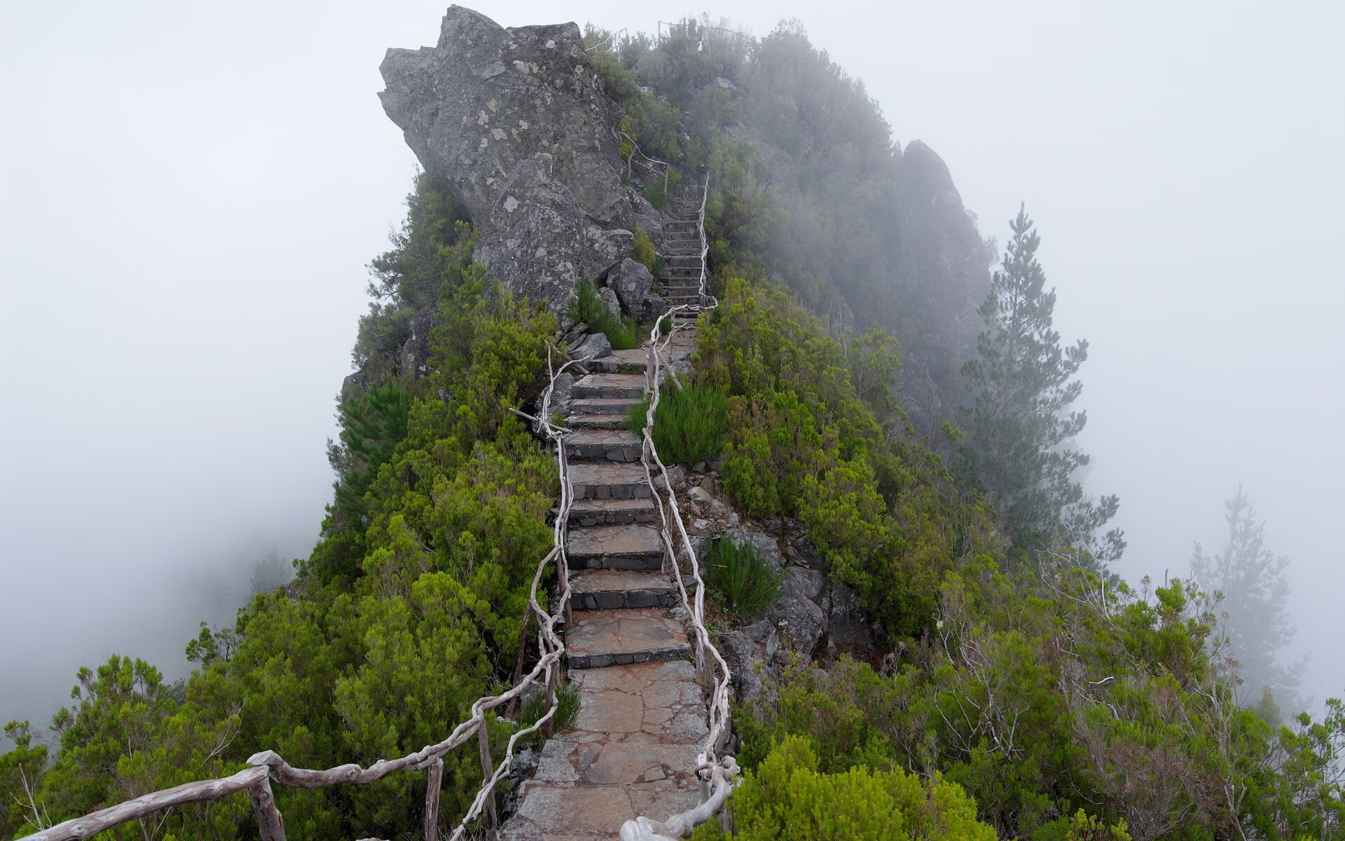 世界登山青年导师生态修复项目第47批结项结果发布,国际登山比赛